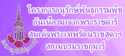 โครงการอนุรักษ์พันธุกรรมพืชอันเนื่องมาจากพระราชดำริฯ